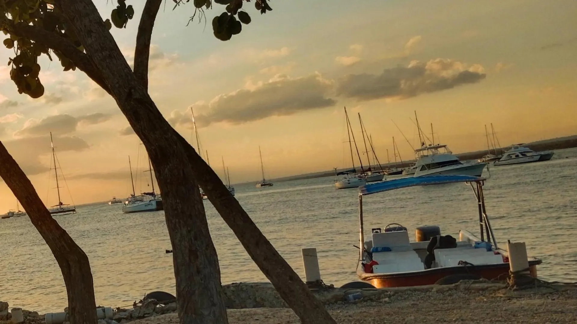 Altea Tropical Inn, Bayahibe Dominican Republic